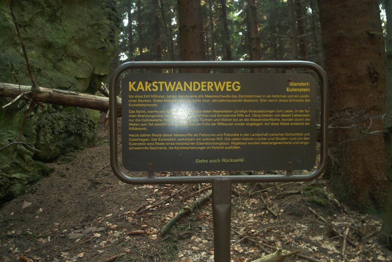 Ferienwohnungen Stricker Harz Walkenried Exterior photo